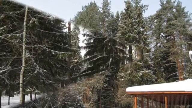 Новогоднее поздравление с Новым 2013 годом смотреть онлайн