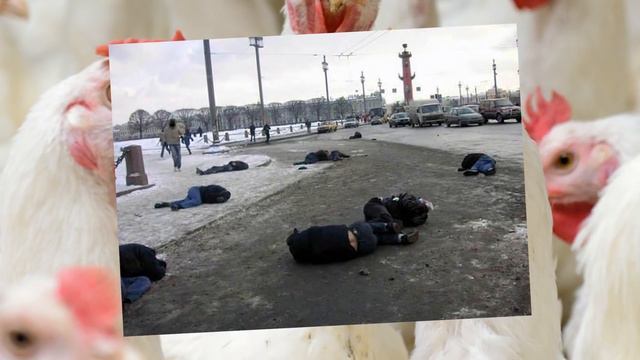 [ ОКОЛОФУТБОЛ ] Дегродские ПАБЛИКИ для Отборных ОВОЩЕЙ смотреть онлайн