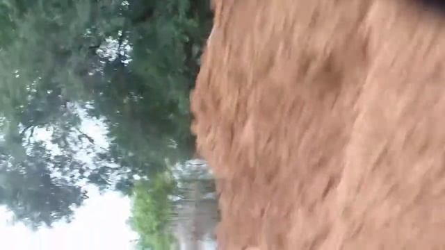 Федеральная трасса "Амур" участок Приамурская-Николаевка лето 2013 смотреть онлайн