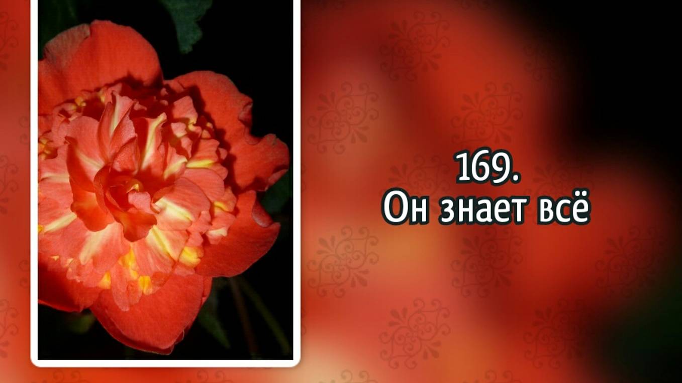 Гимны надежды 169 Он знает всё (-) смотреть онлайн