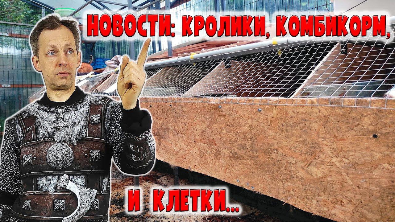 Новости хозяйства: окролы НЗБ, комбкорм, уличные клетки смотреть онлайн
