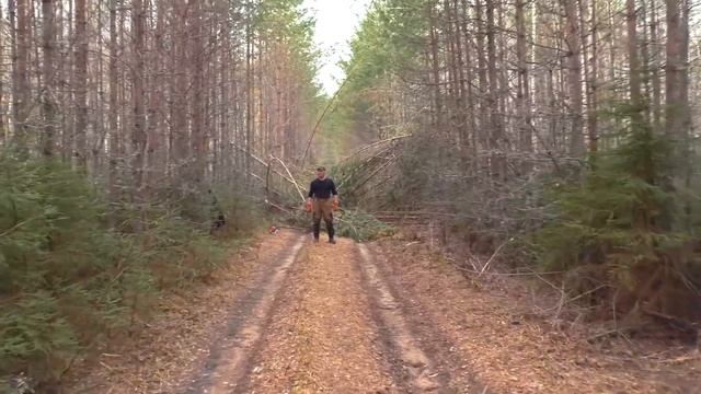 Полёты над АНОМАЛЬНОЙ зоной. Разбираем завалы. смотреть онлайн