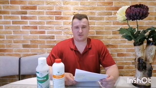 Укоренение луковицы тюльпанов смотреть онлайн