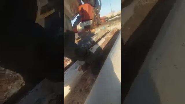 Шкуродёр смотреть онлайн