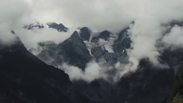 TRFN & FELLA - DRIVE. | ТУТБУДЕТСТИЛЬ