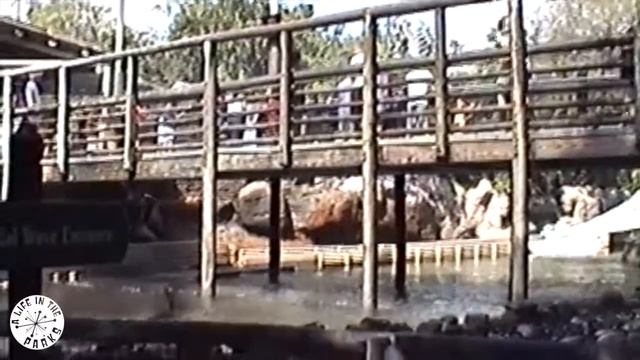 Python & Scorpion - Tidal Wave - Busch Gardens Tampa Bay 2001 смотреть онлайн