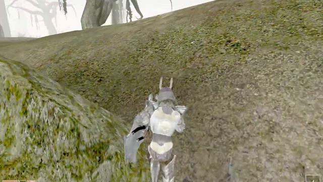 Morrowind 2023 03 30 14 38 46 30 смотреть онлайн