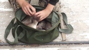 Отчет о рыбалке май 2015