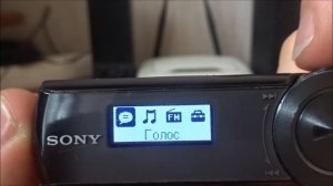 Обзор Sony NWZ-B173F