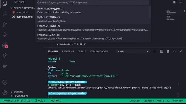 Setup VS Code for Python with Pyenv and Poetry смотреть онлайн