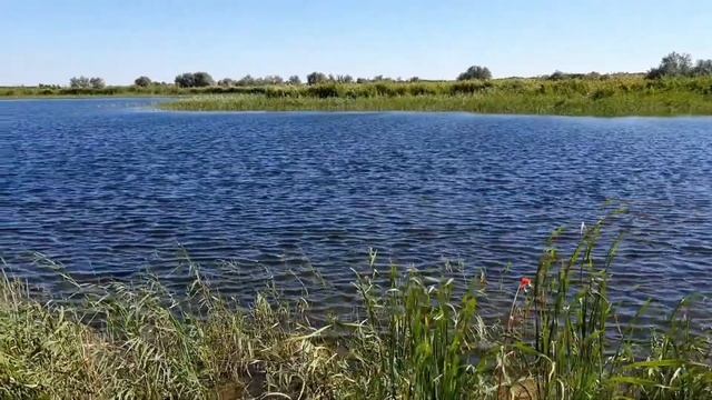 #Карой #Баканас #рыбалка2023 #Или КАРОЙ рыбалка на удочку дельта Или. Бешеный клёв супер рыбалка. смотреть онлайн