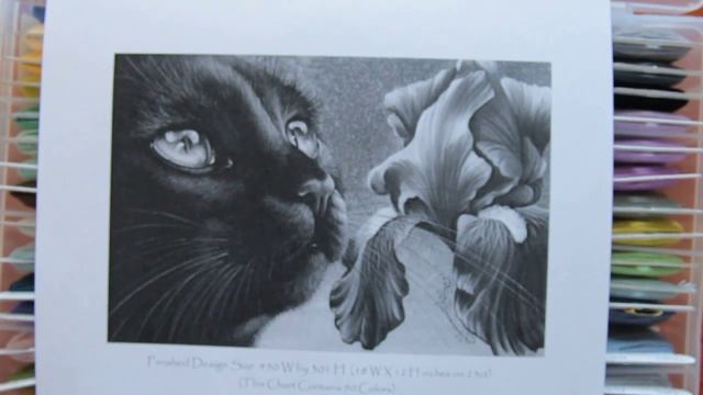 № 11. Подготовка к HAED смотреть онлайн