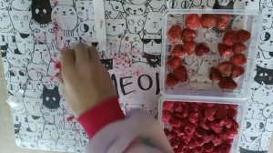 сублимированные ягоды (малина, клубника) ??