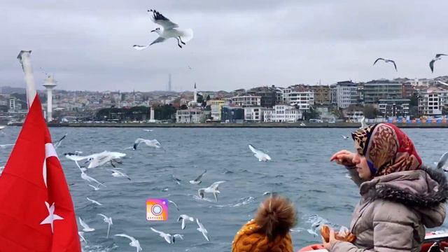 SOĞUK VE RÜZGARLI BİR İSTANBUL VLOGU I UMARIM BİRAZ SERİNLERİZ! смотреть онлайн
