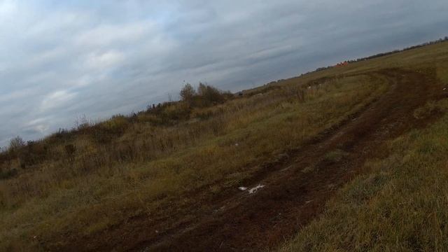 БРЕТОН ЗУЛЬКА ОХОТА НА КУРОПАТКУ 23 10 смотреть онлайн
