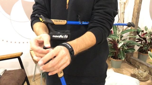 Обзор Nordic Fit free скандинавские палки смотреть онлайн