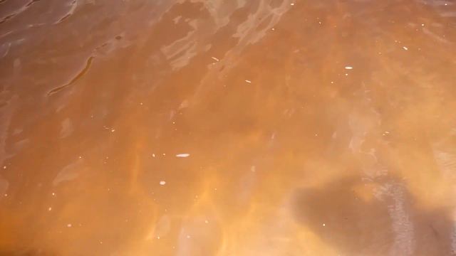 Дима и Наташа на речке купаются Наташа увидела рыбу в воде смотреть онлайн