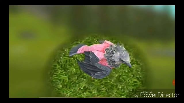 Пиара:Nika ( писать долго полное имя ) смотреть онлайн