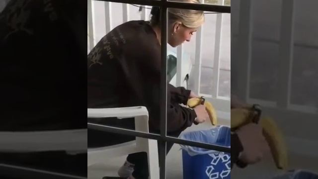 Видео,приколы,юмор,смех смотреть онлайн