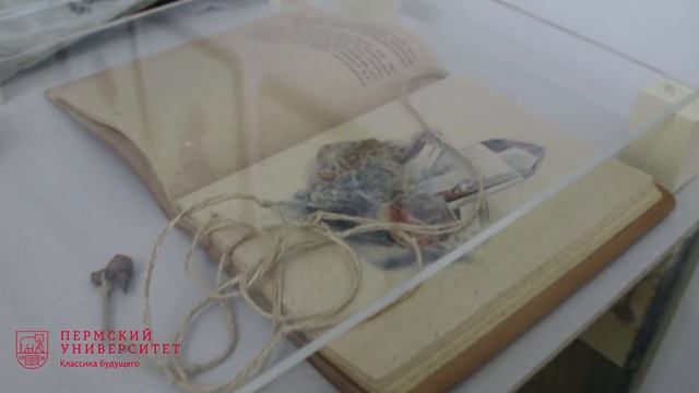 В Пермской художественной галерее открылась выставка «Я знаю, как управлять Вселенной» смотреть онлайн