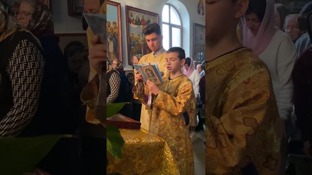 12.11.2023 Деяния апостолов. Читает Сергей Стамов. смотреть онлайн