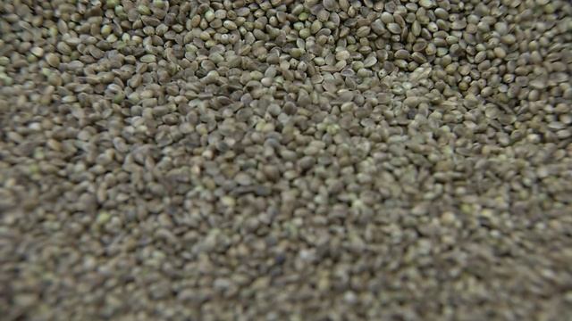 Новые продукты на рынке Челябинской области смотреть онлайн