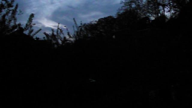 голоса квакш смотреть онлайн