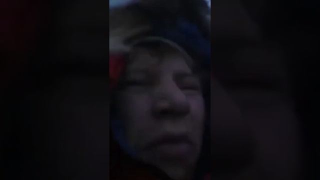 These Polar Bears Tried To Eat Sergey Ananov Alive! смотреть онлайн