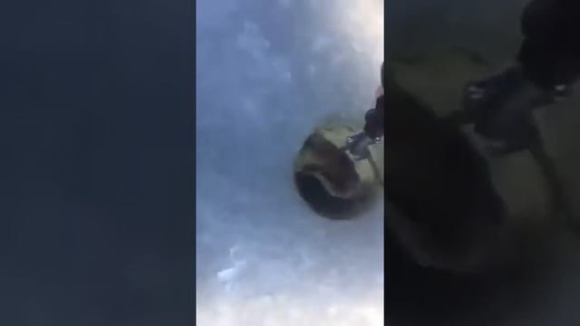 Шок!!! Щука напала на щуку смотреть онлайн