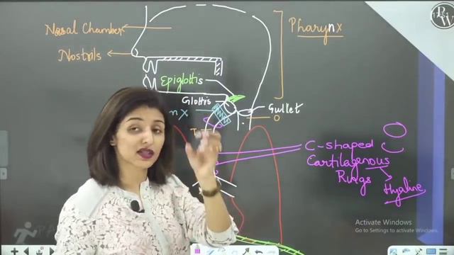 Breathing and Exchange of Gases - 01 | Human Respiratory System | Class 11| Neet | Pace Series смотреть онлайн