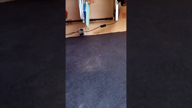 Котайн воскрес! Я совершил ошибку... смотреть онлайн