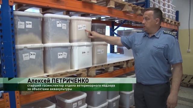 Ветеринарно-санитарный мониторинга качества меда.mp4 смотреть онлайн