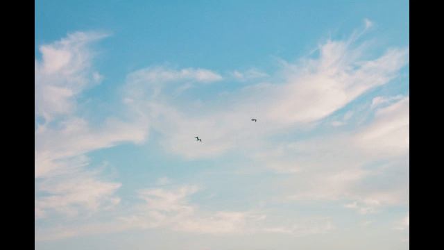 Медитация - цветок жизни! смотреть онлайн