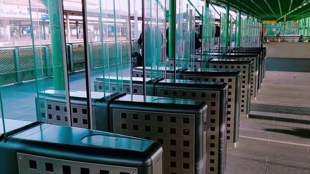 Pisa Mover Shuttle; How to go from Pisa airport to Pisa city, Italy ?? #pisa#pisamover #towerofpis смотреть онлайн