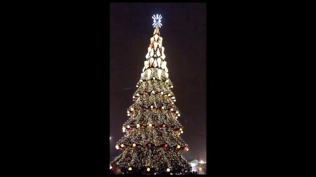 В Харькове зажгли Новогоднюю ёлку 2021 смотреть онлайн