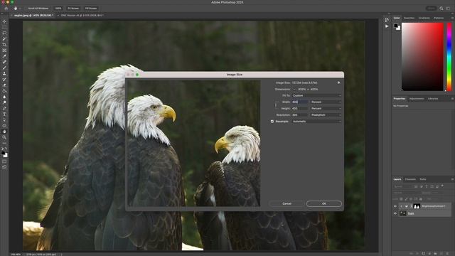 How to Enlarge Photos in Photoshop Without Losing Quality Using ON1 Resize AI смотреть онлайн
