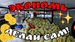 САМОДЕЛЬНЫЙ БРУДЕР ДЛЯ ЦЫПЛЯТ / Вариант 2 - попроще, подешевле