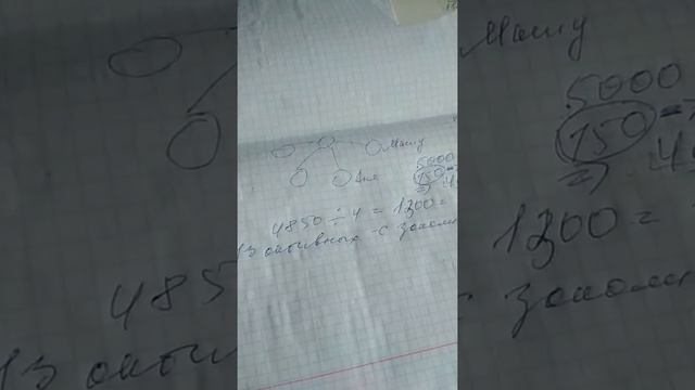 Директор Биоси за 4 месяца Принцип расчета прироста. смотреть онлайн