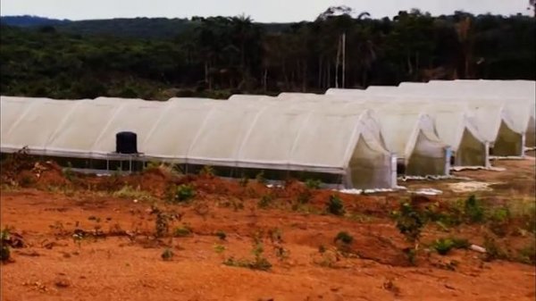 Dizengoff Documentary