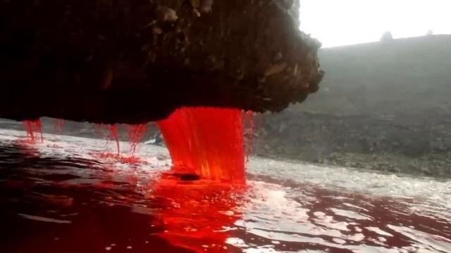 What's Really Behind The Ice Wall In Antarctica смотреть онлайн