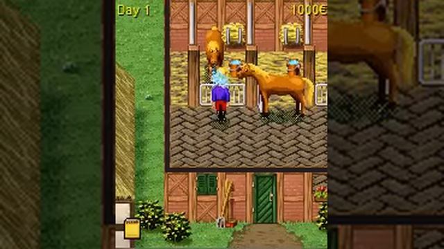 Horse And Pony - My Stud Farmd (J2ME) смотреть онлайн