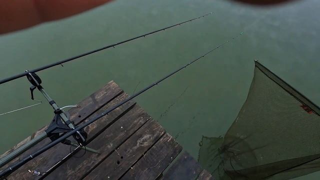 КАРПОВАЯ РЫБАЛКА КАК ПОЙМАТЬ МНОГО КАРПА смотреть онлайн
