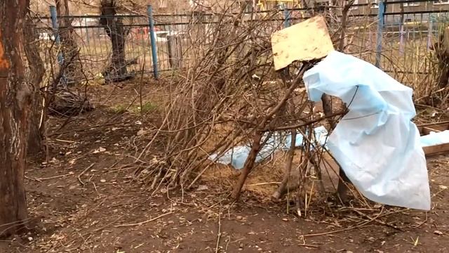 Сломал шалаш смотреть онлайн