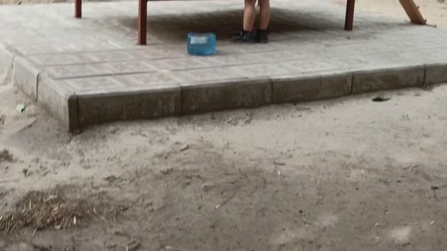 Домик для котов 4.09.20