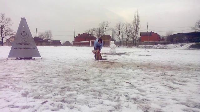 Зависть Богов Франция смотреть онлайн