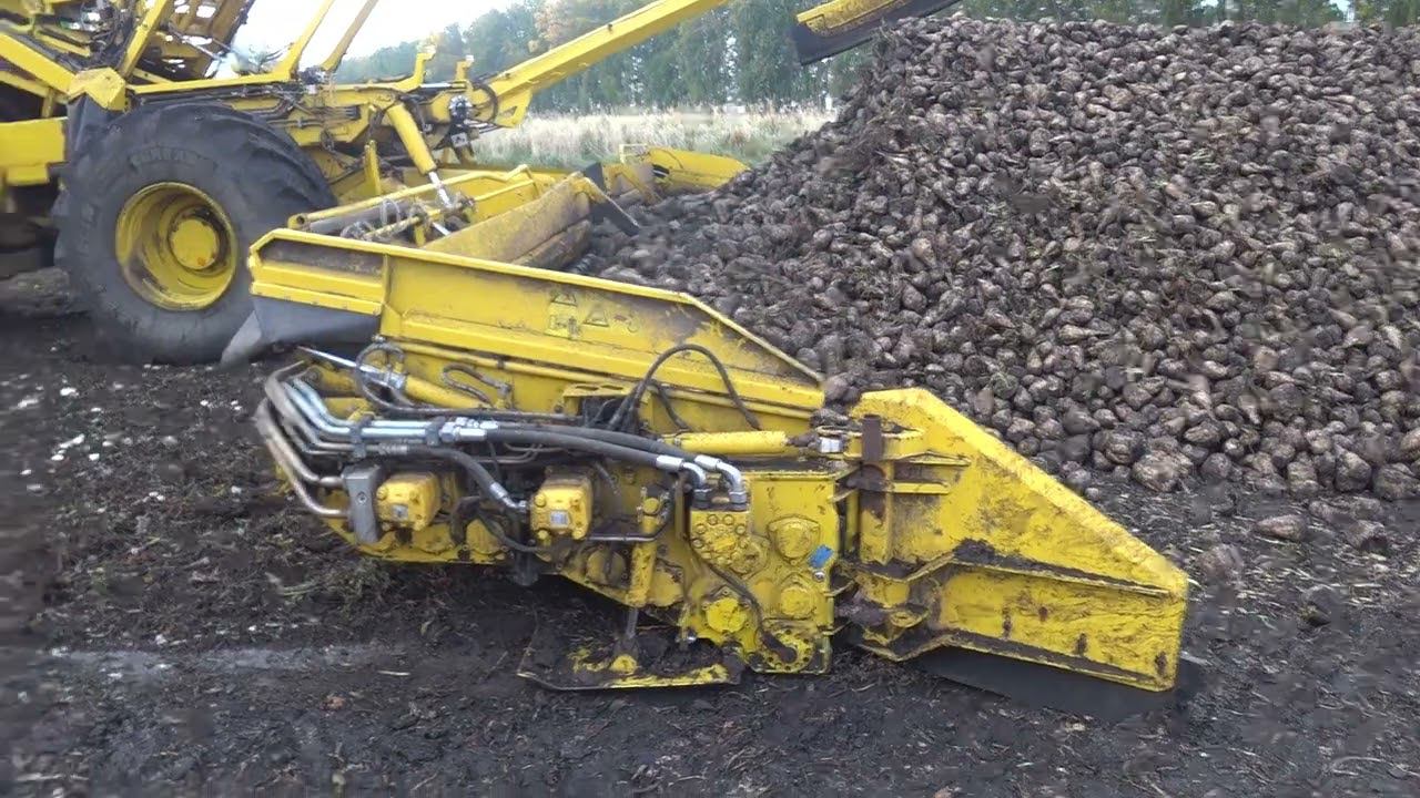 УБОРКА СВЕКЛЫ СЕРИЯ ПЕРВАЯ смотреть онлайн