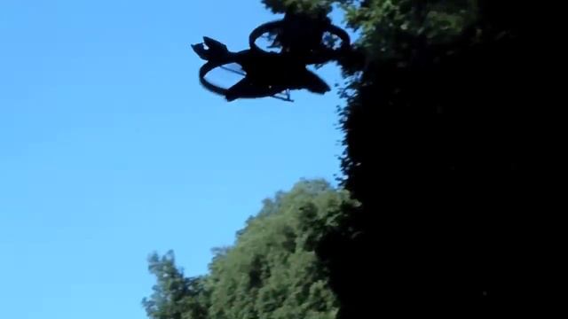 Space Phoenix, Power in Air (fly outdoor review)