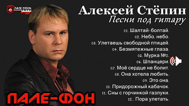 Алексей Стёпин - Песни под гитару.