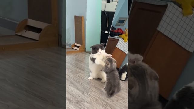 Тренер и ученик? смотреть онлайн