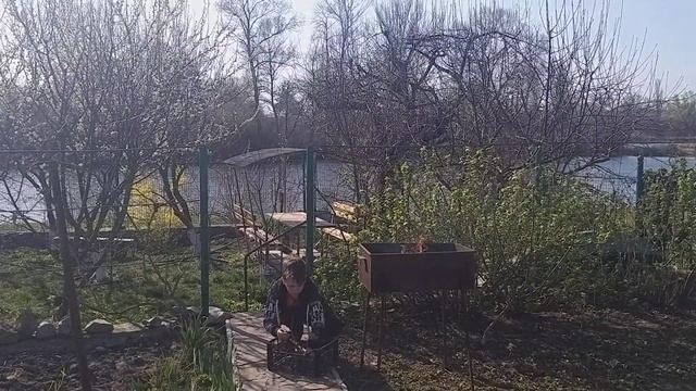 Развожу костёр и готовлю сосиски на мангале смотреть онлайн